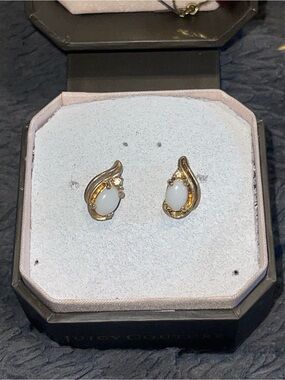 Pair earrings